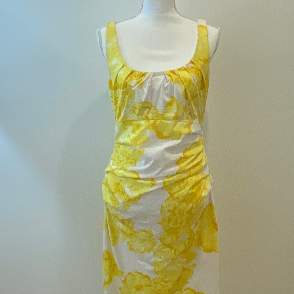Suzuki Chin Dress
